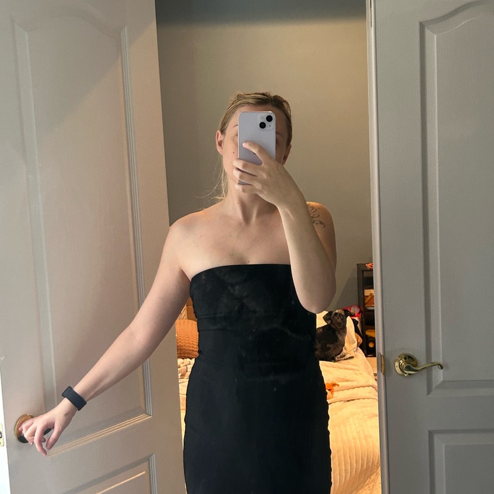 PLT Strapless Dress